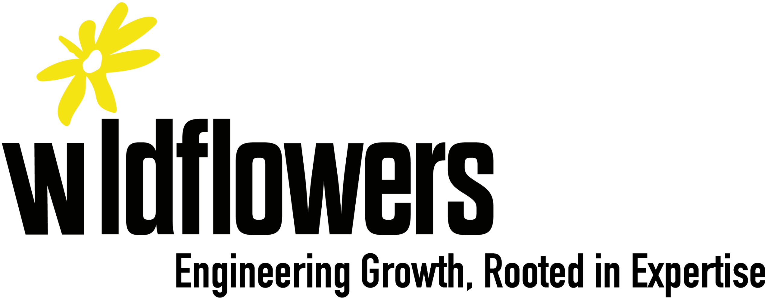 Rebranding site Wildflowers
